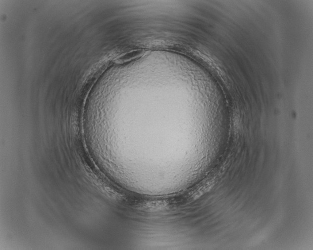 X0000067330353200604131706