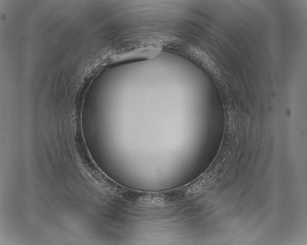 X0000067330354200604131706