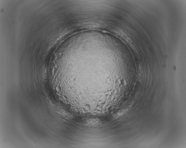 X0000067330355200604131706