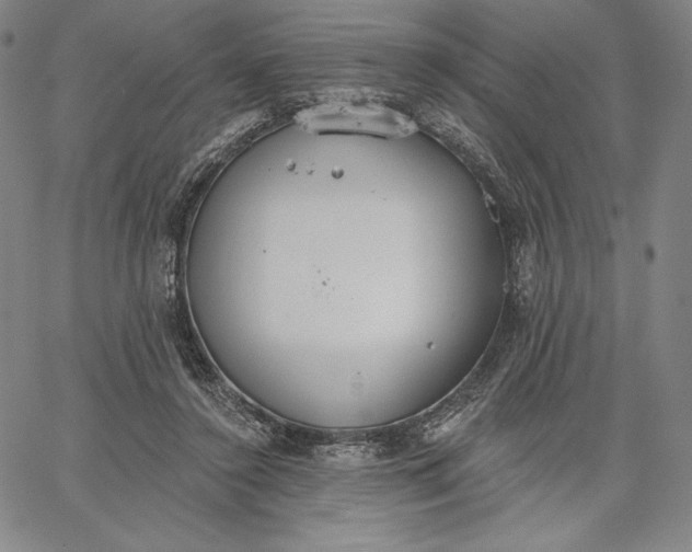 X0000067330356200604131706