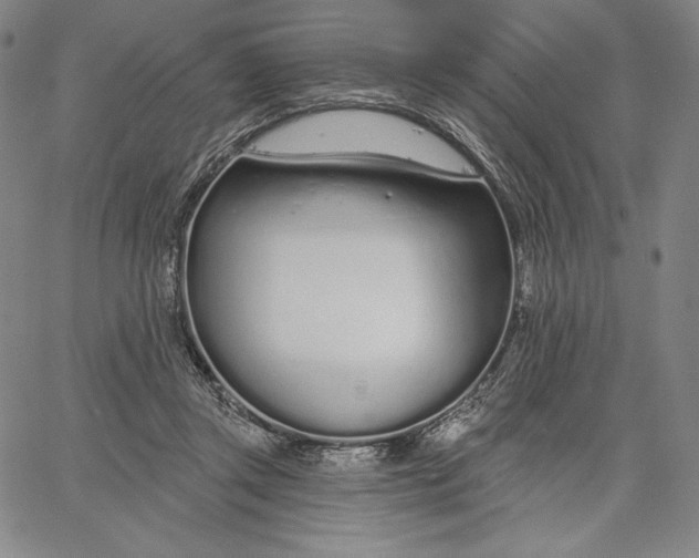 X0000067330357200604131706