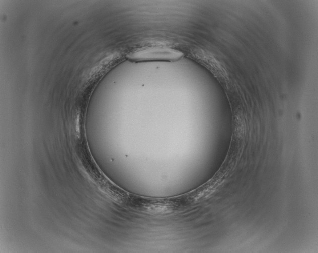 X0000067330358200604131706