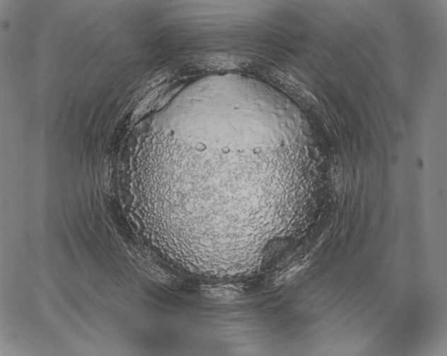 X0000067330359200604131706