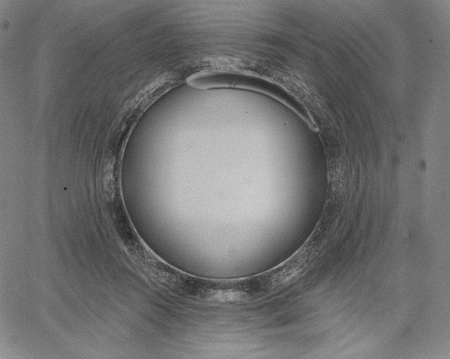 X0000067330360200604131706