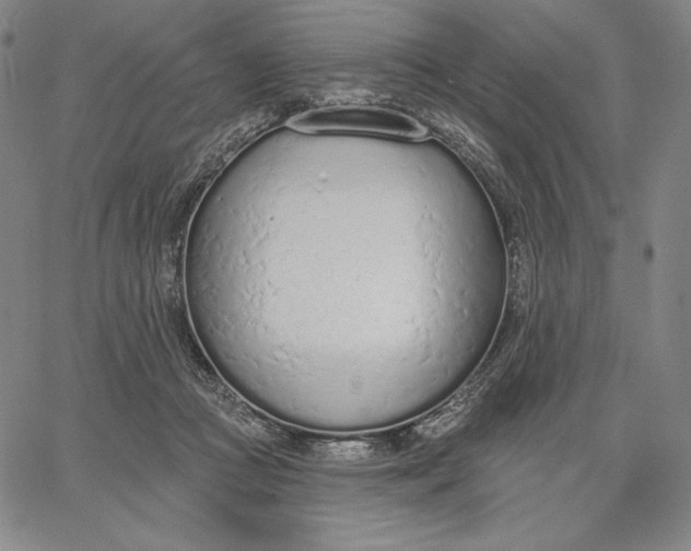 X0000067330361200604131706