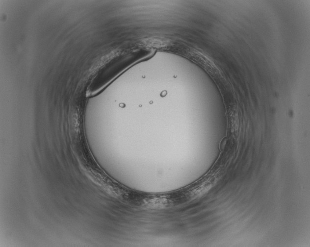 X0000067330362200604131706