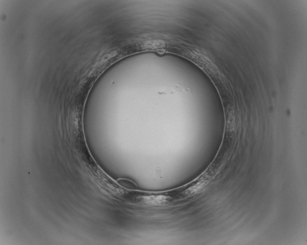 X0000067330363200604131706