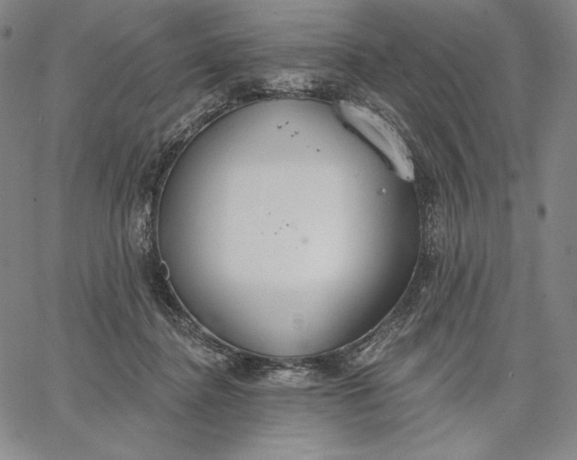 X0000067330364200604131706