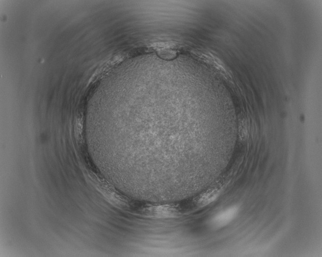 X0000067330365200604131706