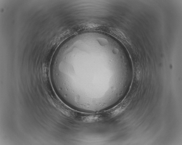 X0000067330366200604131706