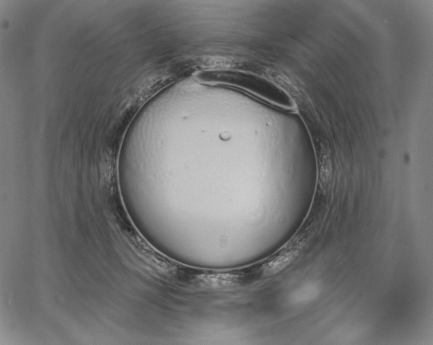 X0000067330367200604131706