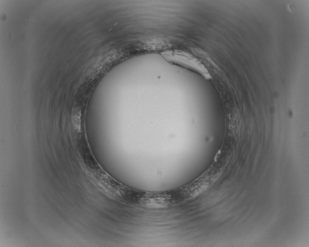 X0000067330368200604131706