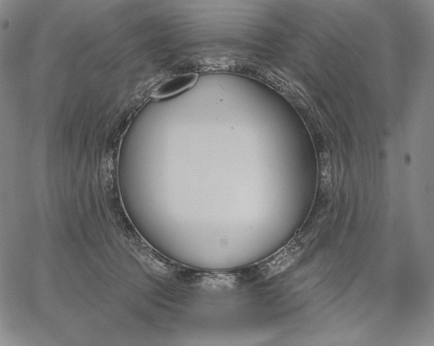 X0000067330369200604131706