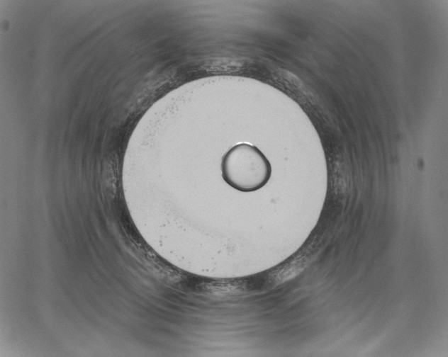 X0000067330370200604131706