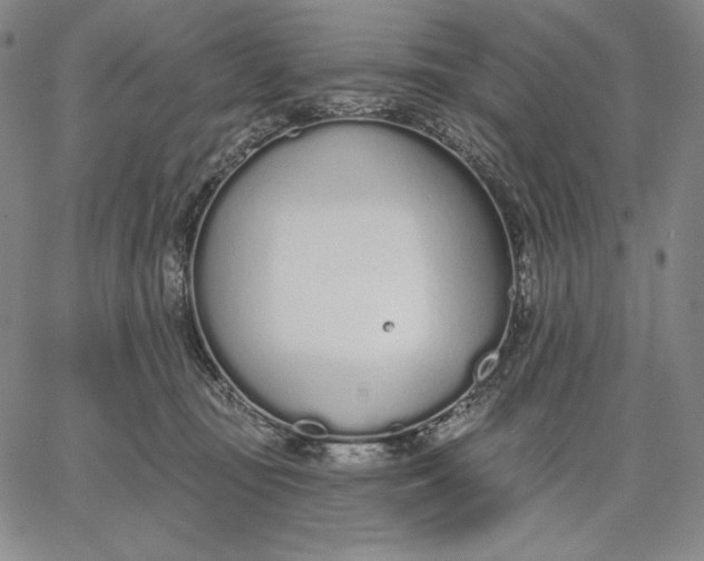 X0000067330371200604131706