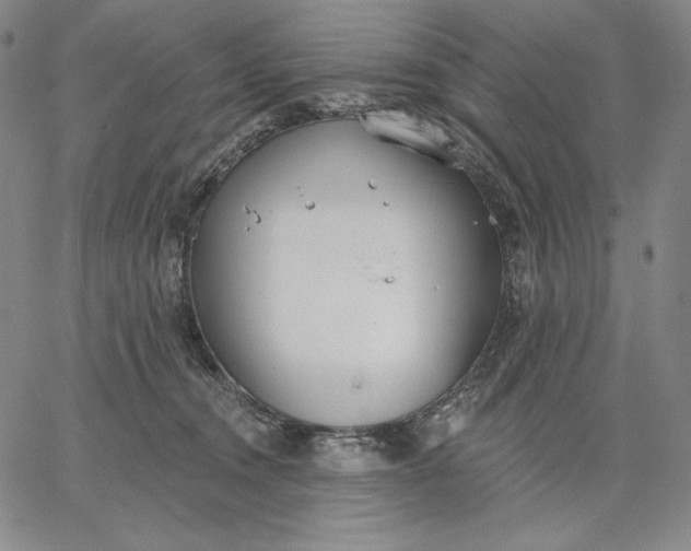 X0000067330372200604131706