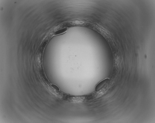 X0000067330373200604131706