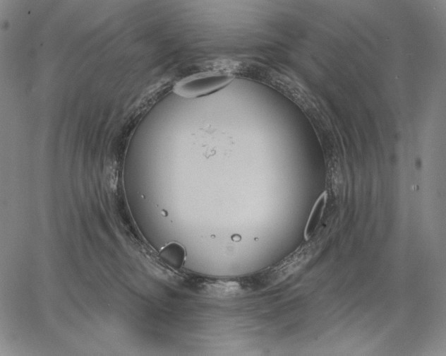 X0000067330374200604131706