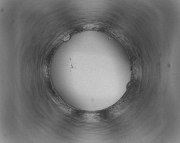 X0000067330375200604131706