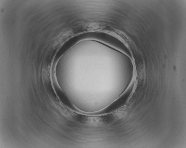 X0000067330376200604131707