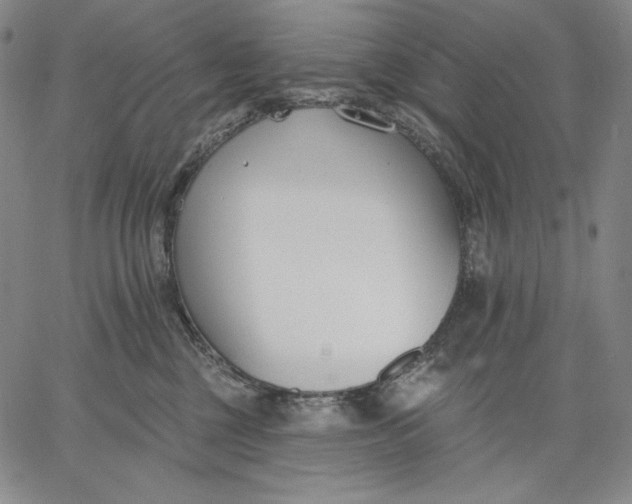 X0000067330377200604131707