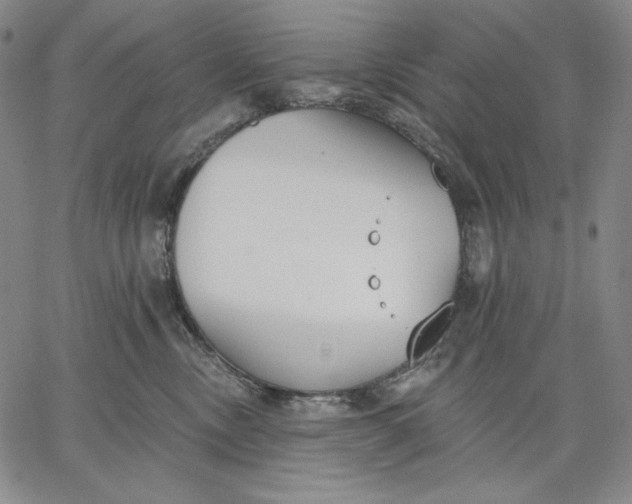 X0000067330378200604131707