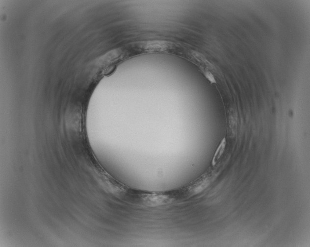 X0000067330379200604131707