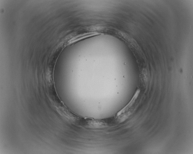 X0000067330380200604131707