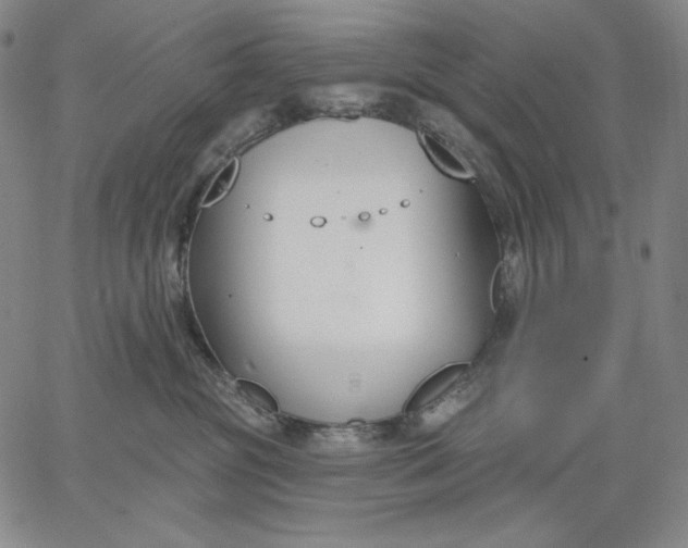 X0000067330381200604131707