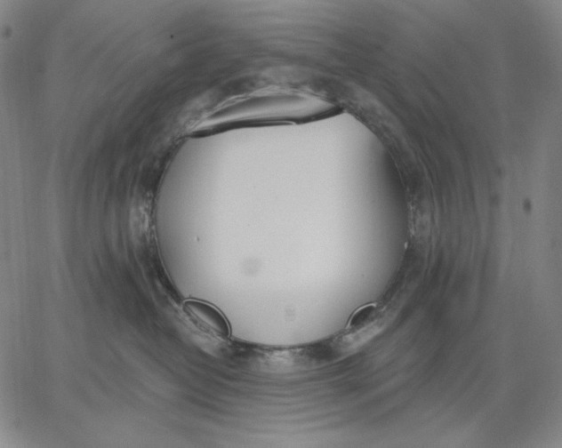 X0000067330382200604131707