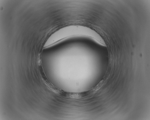 X0000067330383200604131707