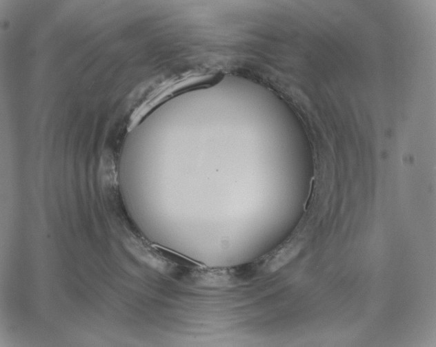 X0000067330384200604131707