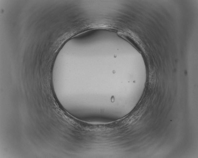 X0000067330385200604131706