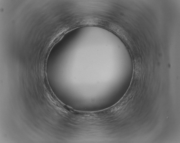 X0000067330386200604131706