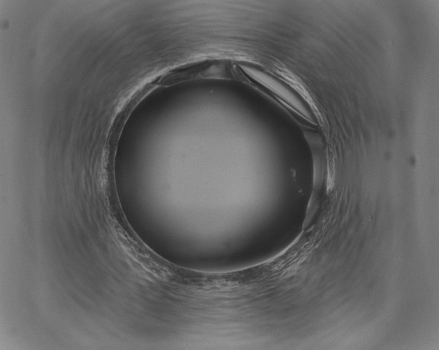 X0000067330387200604131706