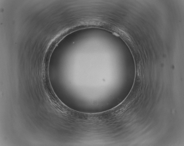 X0000067330388200604131706