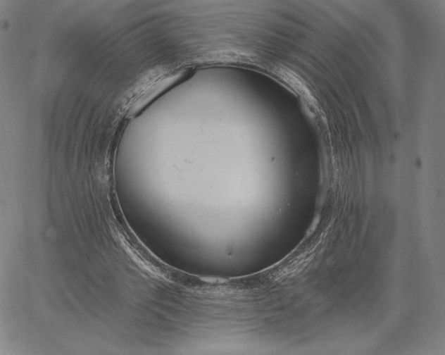 X0000067330389200604131706