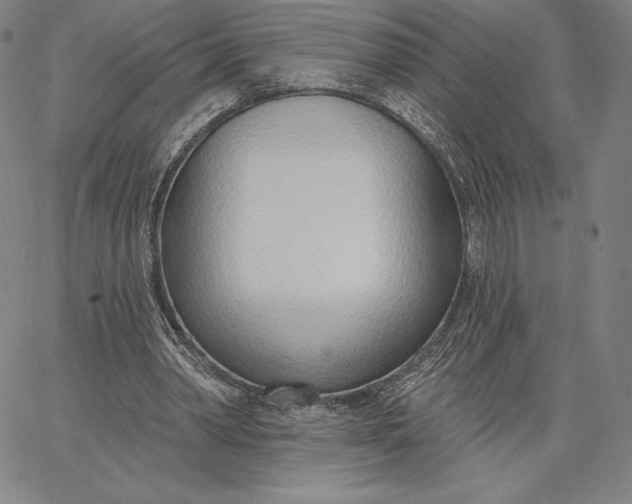 X0000067330390200604131706