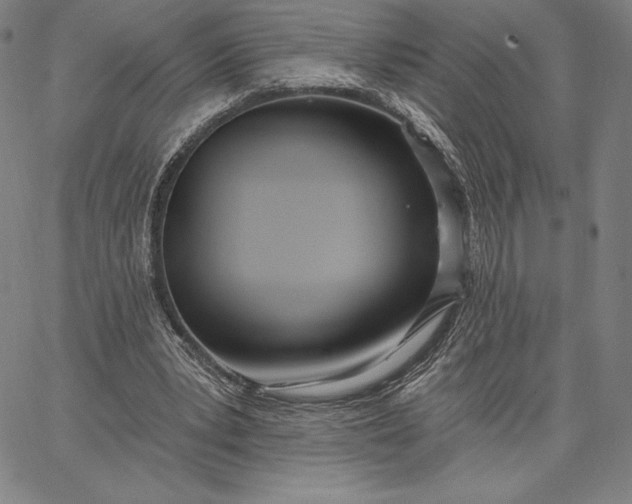 X0000067330391200604131706