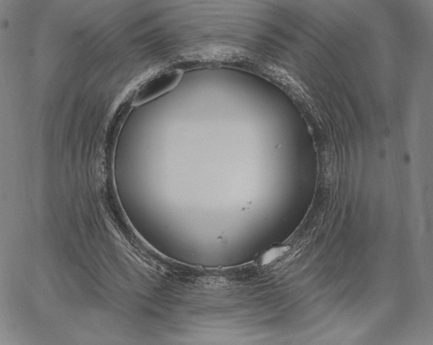 X0000067330392200604131706