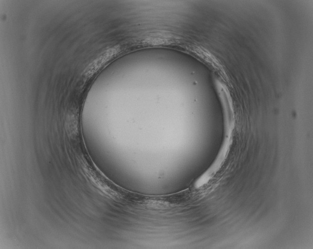 X0000067330393200604131706