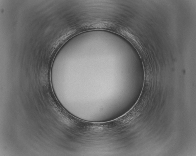 X0000067330394200604131706