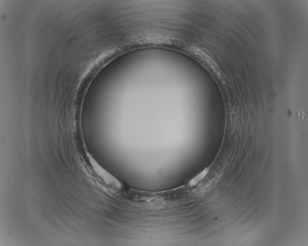 X0000067330395200604131706