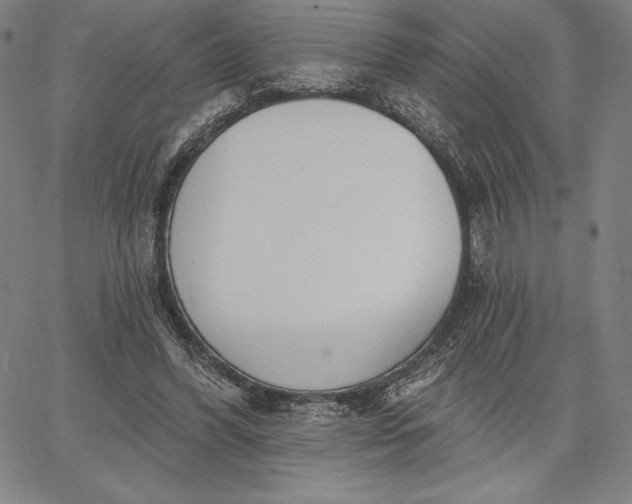 X0000067330396200604131706