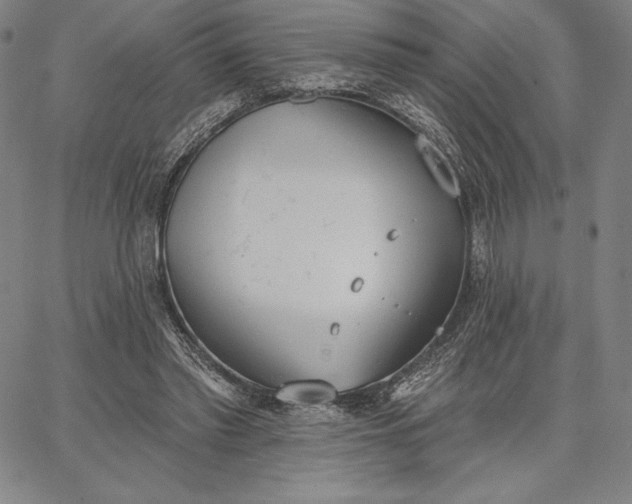 X0000067330397200604131706