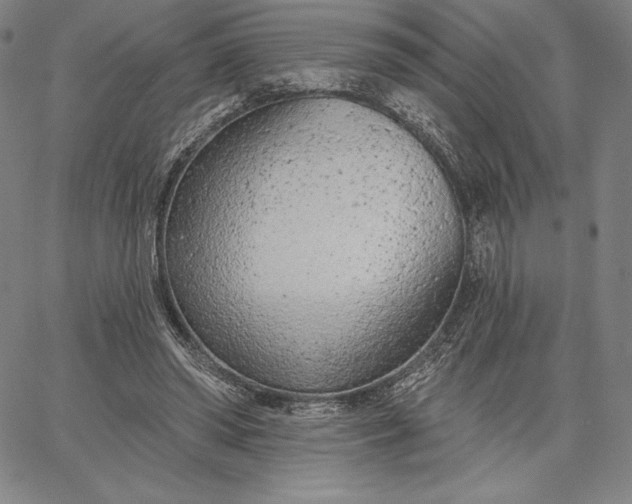 X0000067330398200604131706