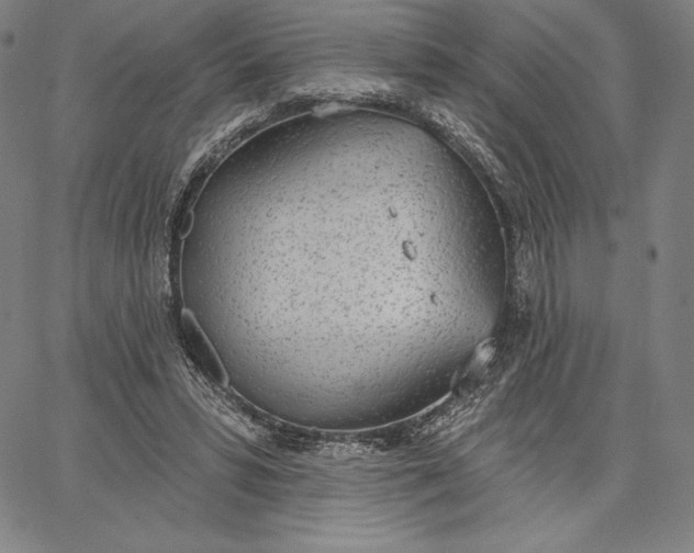 X0000067330399200604131706