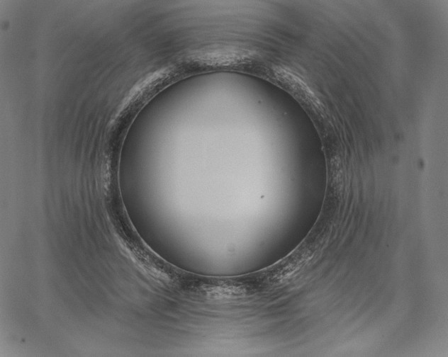 X0000067330400200604131706