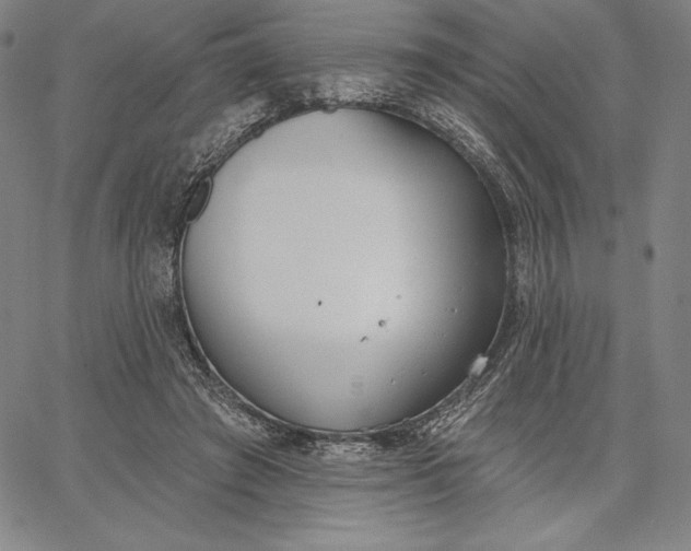 X0000067330401200604131706