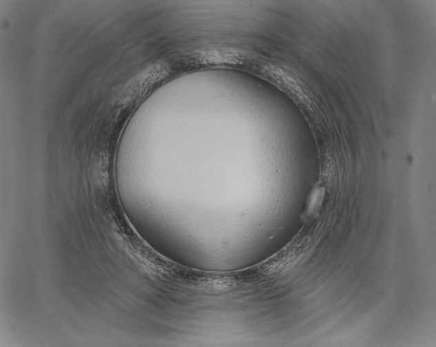 X0000067330402200604131706